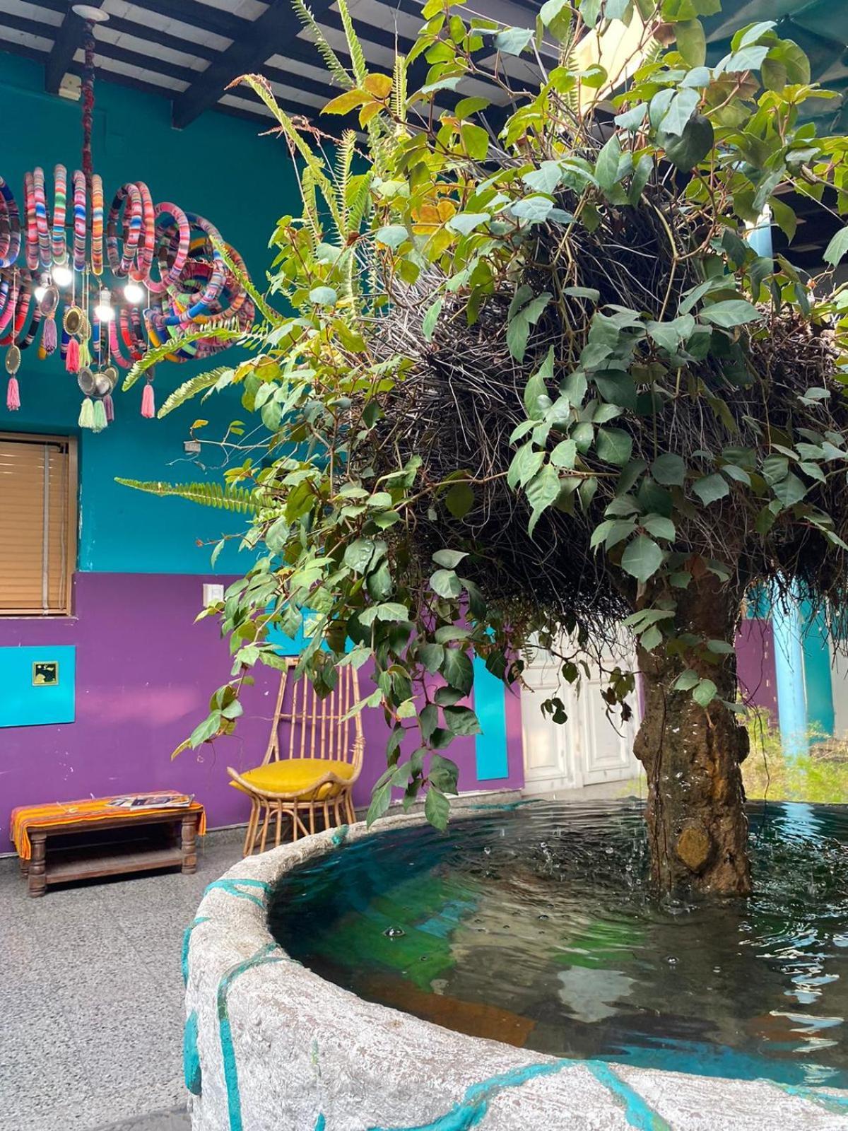 Hotel Elena Salta