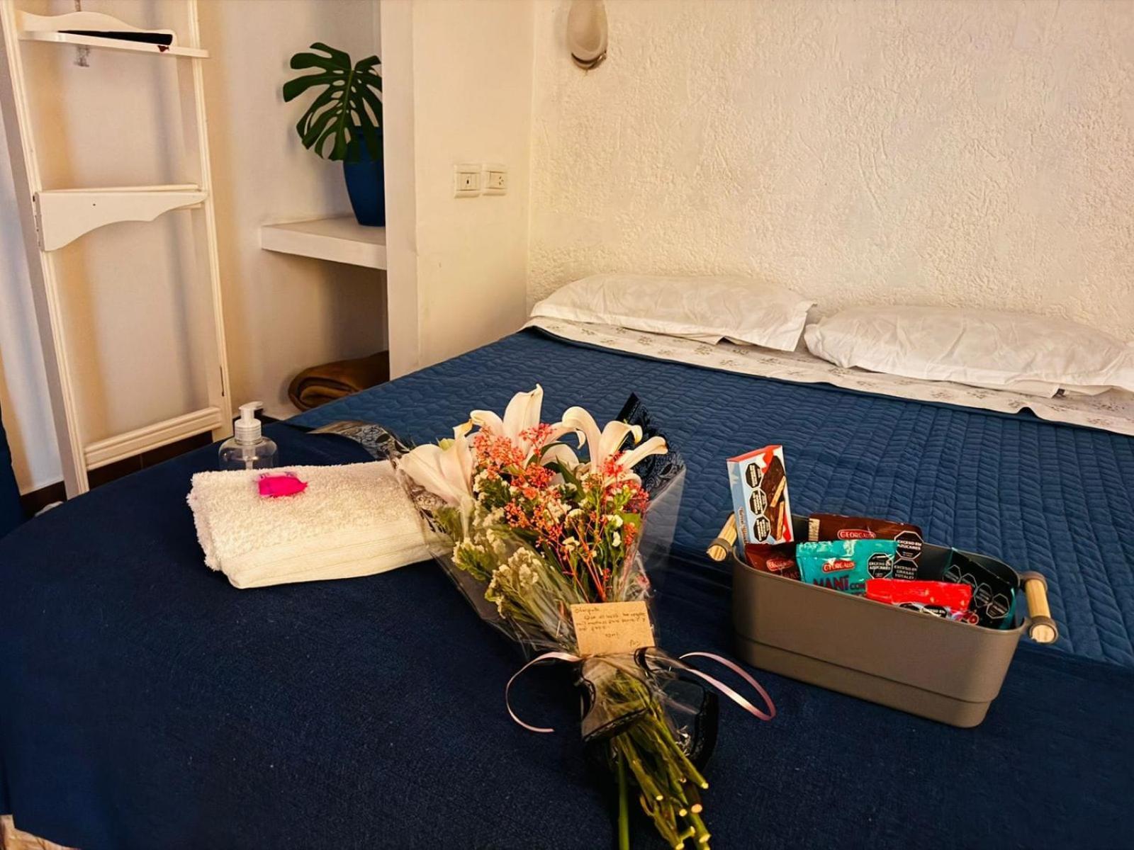 Hotel Elena Salta